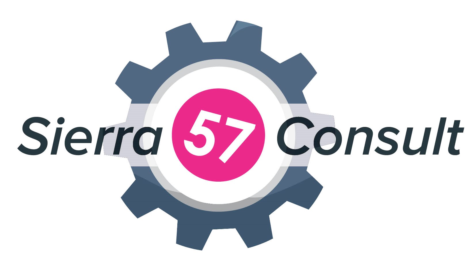 Sierra 57 Consult